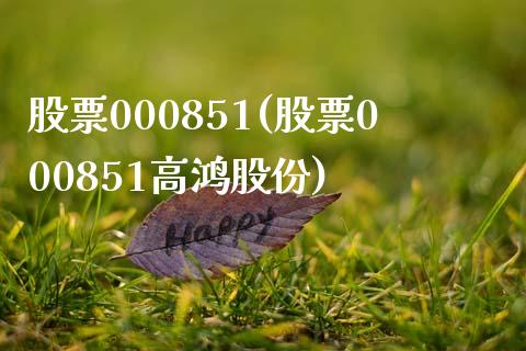 股票000851(股票000851高鸿股份)_https://www.liuyiidc.com_股票理财_第1张