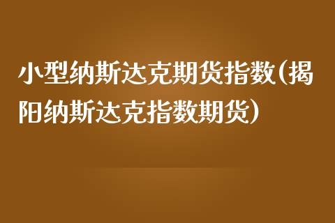 小型纳斯达克期货指数(揭阳纳斯达克指数期货)_https://www.liuyiidc.com_期货理财_第1张