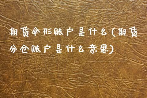 期货伞形账户是什么(期货分仓账户是什么意思)_https://www.liuyiidc.com_国际期货_第1张