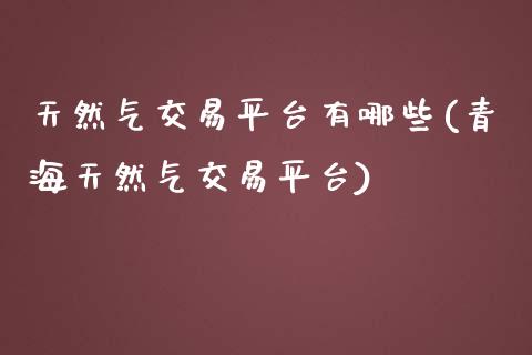 天然气交易平台有哪些(青海天然气交易平台)_https://www.liuyiidc.com_恒生指数_第1张