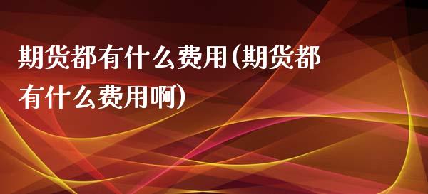 期货都有什么费用(期货都有什么费用啊)_https://www.liuyiidc.com_期货品种_第1张