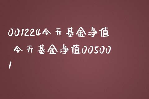 001224今天基金净值 今天基金净值005001