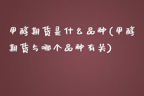 甲醇期货是什么品种(甲醇期货与哪个品种有关)_https://www.liuyiidc.com_期货直播_第1张