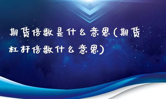 期货倍数是什么意思(期货杠杆倍数什么意思)_https://www.liuyiidc.com_理财品种_第1张