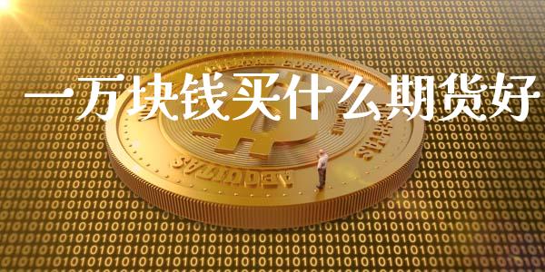 一万块钱买什么期货好_https://www.liuyiidc.com_理财百科_第1张