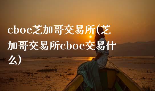 cboe芝加哥交易所(芝加哥交易所cboe交易什么)_https://www.liuyiidc.com_期货知识_第1张