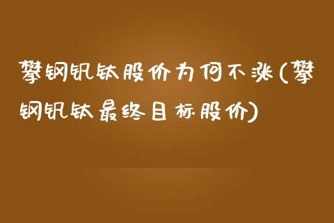 攀钢钒钛股价为何不涨(攀钢钒钛最终目标股价)_https://www.liuyiidc.com_理财品种_第1张