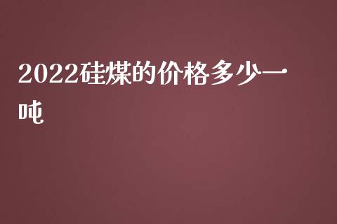 2022硅煤的多少一吨_https://www.liuyiidc.com_理财百科_第1张