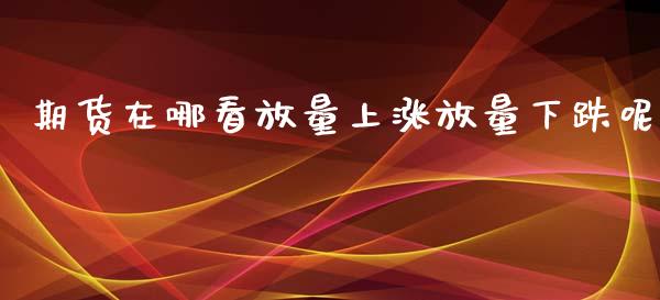 期货在哪看放量上涨放量下跌呢_https://www.liuyiidc.com_期货交易所_第1张