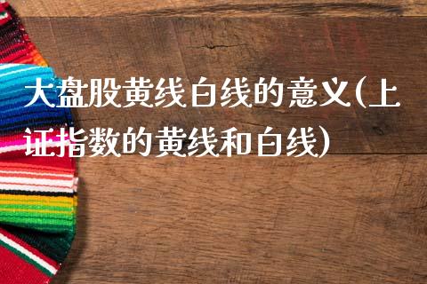 大盘股黄线白线的意义(上证指数的黄线和白线)_https://www.liuyiidc.com_期货知识_第1张