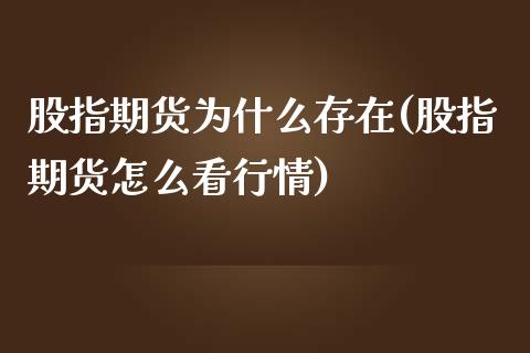 股指期货为什么存在(股指期货怎么看行情)_https://www.liuyiidc.com_期货品种_第1张