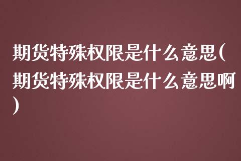 期货特殊权限是什么意思(期货特殊权限是什么意思啊)_https://www.liuyiidc.com_期货交易所_第1张