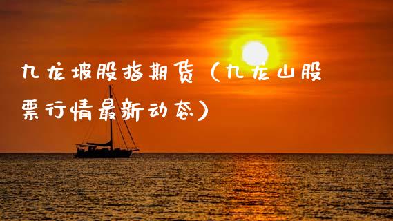 九龙坡股指期货（九龙山股票行情最新动态）_https://www.liuyiidc.com_黄金期货_第1张