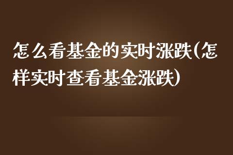 怎么看基金的实时涨跌(怎样实时查看基金涨跌)_https://www.liuyiidc.com_理财品种_第1张