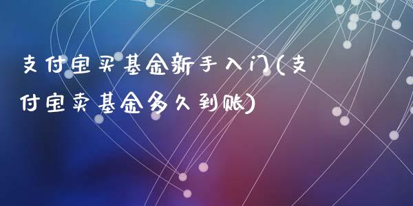 支付宝买基金新手入门(支付宝卖基金多久到账)_https://www.liuyiidc.com_期货理财_第1张