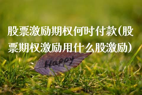 股票激励期权何时付款(股票期权激励用什么股激励)_https://www.liuyiidc.com_恒生指数_第1张