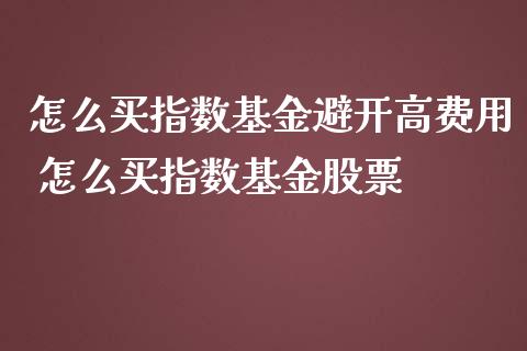 怎么买指数基金避开高费用 怎么买指数基金股票_https://www.liuyiidc.com_恒生指数_第1张