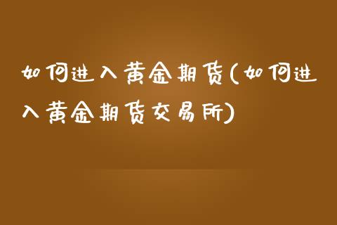 如何进入黄金期货(如何进入黄金期货交易所)