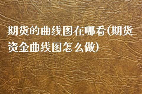 期货的曲线图在哪看(期货资金曲线图怎么做)_https://www.liuyiidc.com_理财百科_第1张