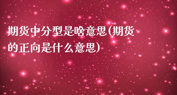 期货中分型是啥意思(期货的正向是什么意思)_https://www.liuyiidc.com_期货品种_第1张