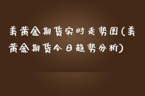 美黄金期货实时走势图(美黄金期货今日趋势分析)_https://www.liuyiidc.com_国际期货_第1张