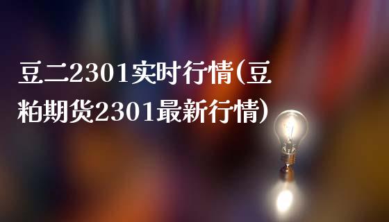 豆二2301实时行情(豆粕期货2301最新行情)_https://www.liuyiidc.com_期货直播_第1张