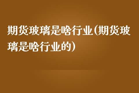 期货玻璃是啥行业(期货玻璃是啥行业的)_https://www.liuyiidc.com_理财品种_第1张