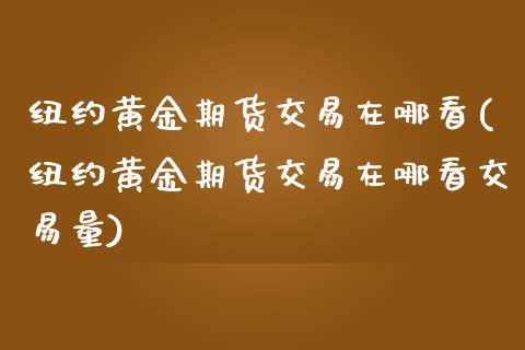 纽约黄金期货交易在哪看(纽约黄金期货交易在哪看交易量)_https://www.liuyiidc.com_期货软件_第1张