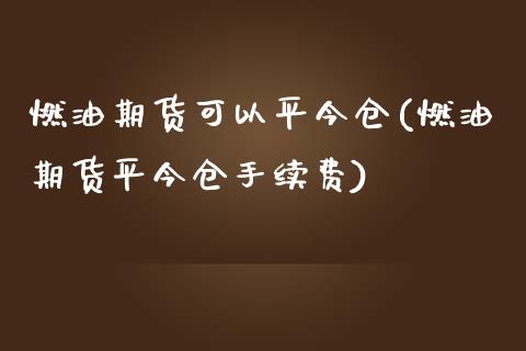 燃油期货可以平今仓(燃油期货平今仓手续费)_https://www.liuyiidc.com_期货直播_第1张