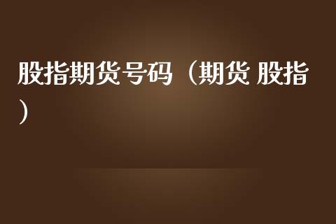 股指期货号码（期货 股指）_https://www.liuyiidc.com_原油直播室_第1张