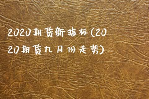 2020期货新指标(2020期货九月份走势)_https://www.liuyiidc.com_理财百科_第1张