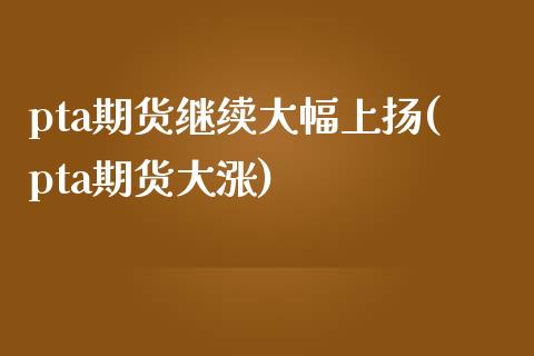 pta期货继续大幅上扬(pta期货大涨)_https://www.liuyiidc.com_期货交易所_第1张