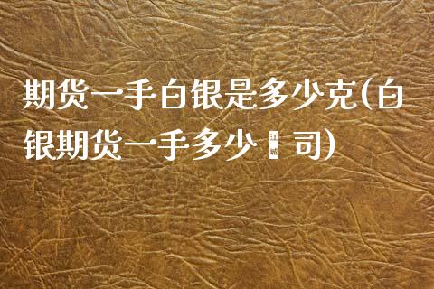 期货一手白银是多少克(白银期货一手多少盎司)_https://www.liuyiidc.com_国际期货_第1张