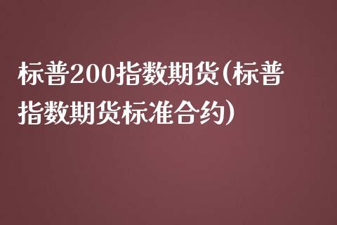 标普200指数期货(标普指数期货标准合约)_https://www.liuyiidc.com_期货直播_第1张