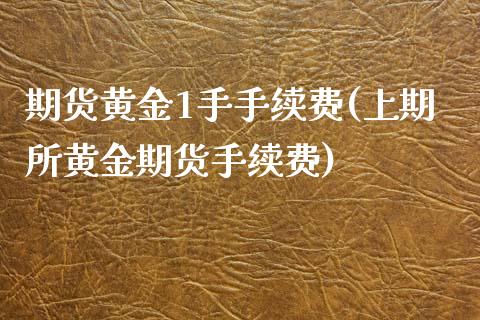 期货黄金1手手续费(上期所黄金期货手续费)_https://www.liuyiidc.com_理财百科_第1张