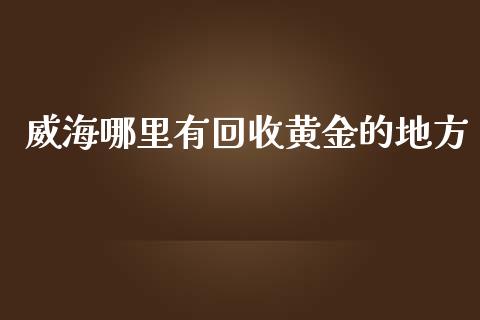 哪里有黄金的地方_https://www.liuyiidc.com_理财百科_第1张