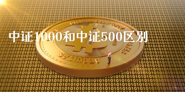 中证1000和中证500区别_https://www.liuyiidc.com_期货软件_第1张