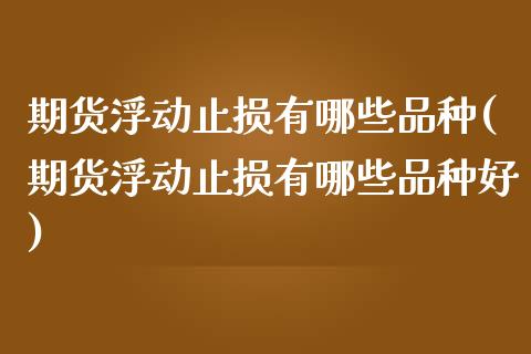 期货浮动止损有哪些品种(期货浮动止损有哪些品种好)_https://www.liuyiidc.com_期货软件_第1张