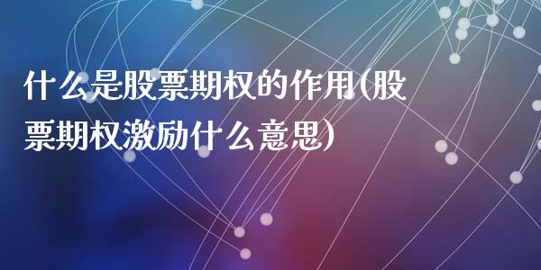 什么是股票期权的作用(股票期权激励什么意思)_https://www.liuyiidc.com_理财百科_第1张