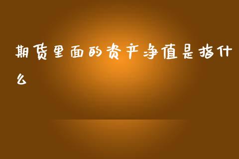 期货里面的资产净值是指什么_https://www.liuyiidc.com_期货软件_第1张