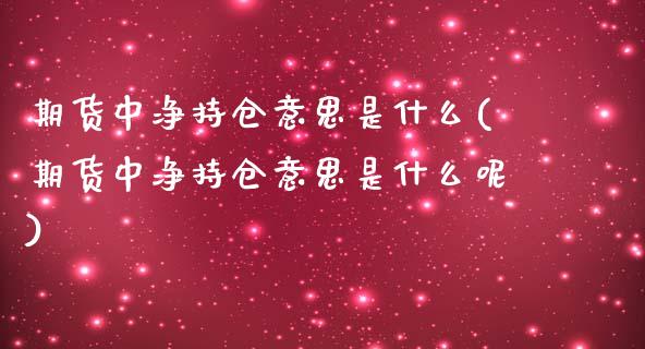 期货中净持仓意思是什么(期货中净持仓意思是什么呢)_https://www.liuyiidc.com_财经要闻_第1张