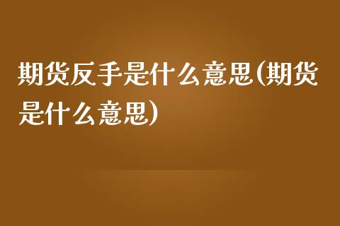 期货反手是什么意思(期货是什么意思)_https://www.liuyiidc.com_理财百科_第1张