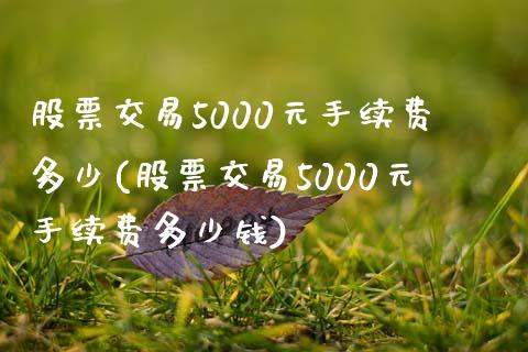 股票交易5000元手续费多少(股票交易5000元手续费多少钱)_https://www.liuyiidc.com_股票理财_第1张