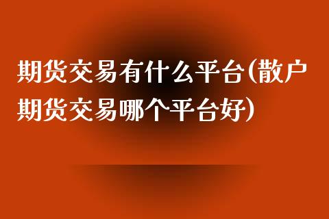 期货交易有什么平台(散户期货交易哪个平台好)_https://www.liuyiidc.com_期货直播_第1张