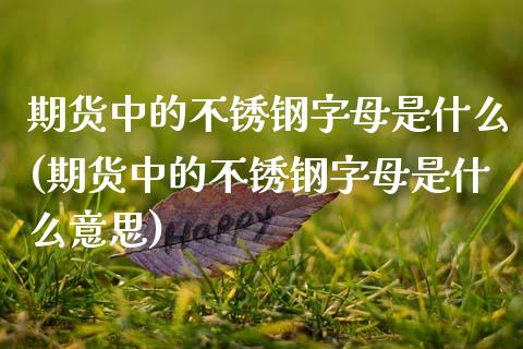 期货中的不锈钢字母是什么(期货中的不锈钢字母是什么意思)_https://www.liuyiidc.com_基金理财_第1张