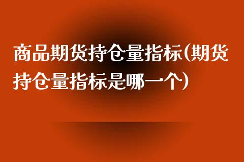 商品期货持仓量指标(期货持仓量指标是哪一个)_https://www.liuyiidc.com_期货理财_第1张