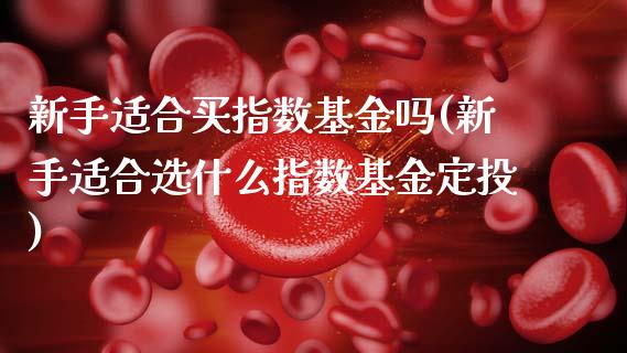 新手适合买指数基金吗(新手适合选什么指数基金定投)_https://www.liuyiidc.com_期货理财_第1张