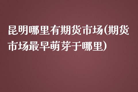 昆明哪里有期货市场(期货市场最早萌芽于哪里)_https://www.liuyiidc.com_理财品种_第1张