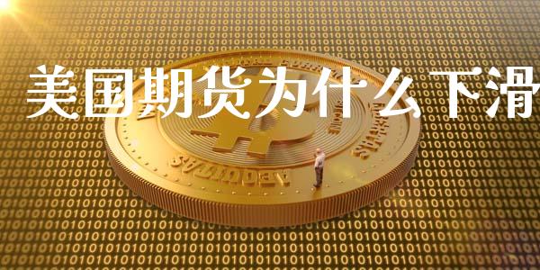 美国期货为什么下滑_https://www.liuyiidc.com_基金理财_第1张