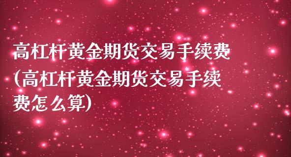 高杠杆黄金期货交易手续费(高杠杆黄金期货交易手续费怎么算)_https://www.liuyiidc.com_期货软件_第1张